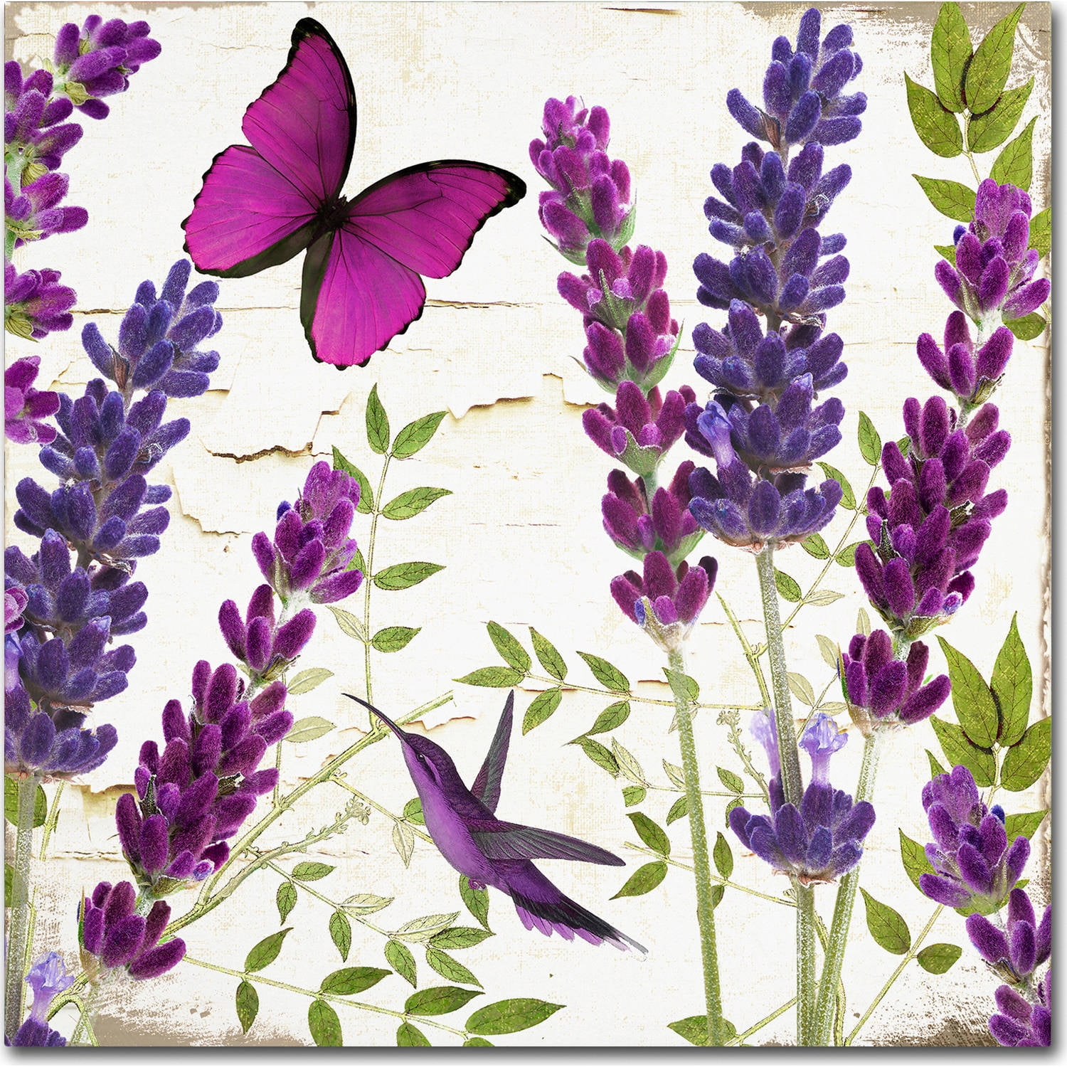 Trademark Fine Art "Lavender II" Canvas Art by Color Bakery