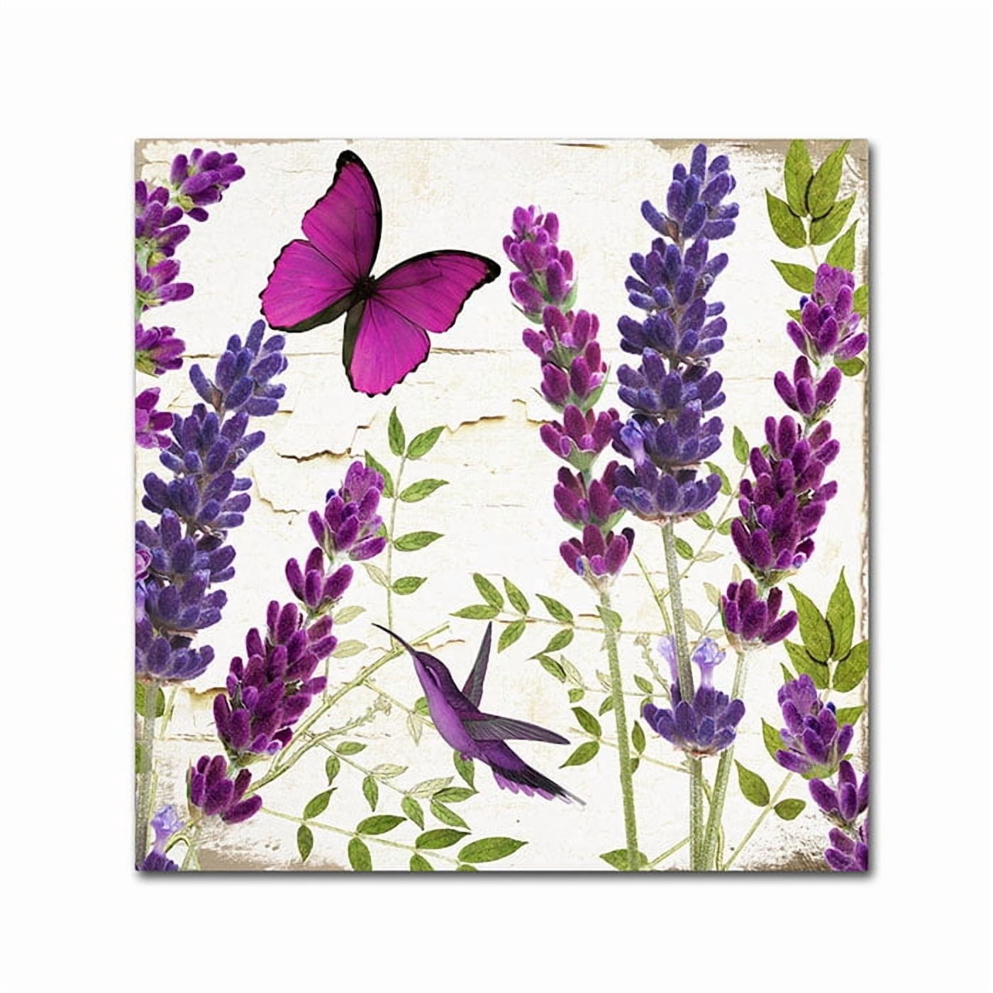 Trademark Fine Art "Lavender II" Canvas Art by Color Bakery