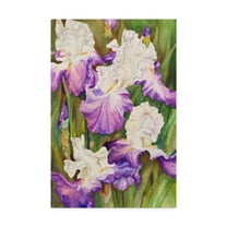 Trademark Fine Art 'Lavender Iris' Canvas Art by Joanne Porter