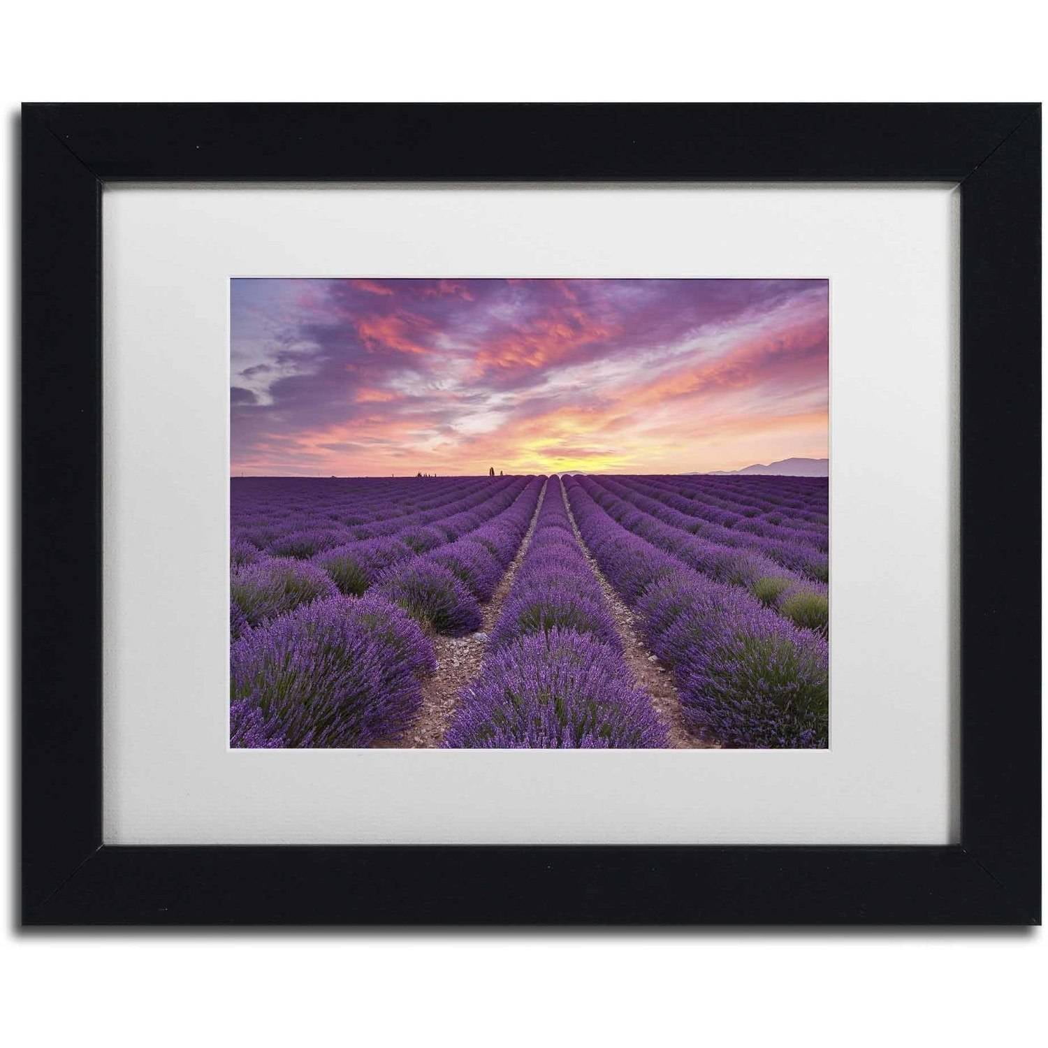 Trademark Fine Art 'Lavender Sunrise' Canvas Art by Michael Blanchette Photography, White Matte, Black Frame