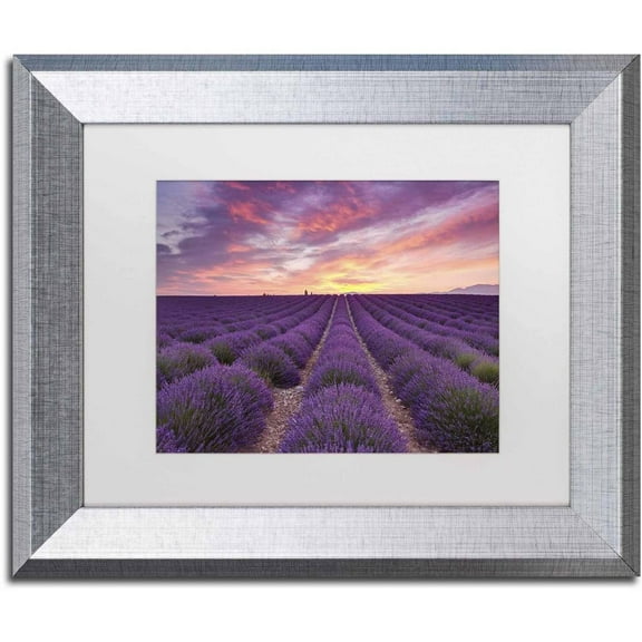 Trademark Fine Art 'Lavender Sunrise' Canvas Art by Michael Blanchette Photography, White Matte, Silver Frame