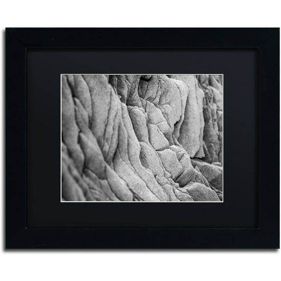 Trademark Fine Art "Lay Low" Canvas Art by Philippe Sainte-Laudy Black Matte, Black Frame