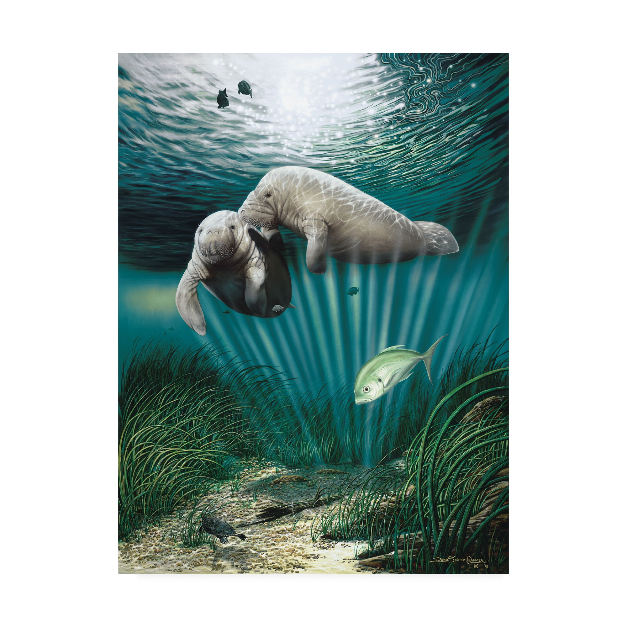 Trademark Fine Art 'Lazy Day Romance' Canvas Art by Dann Spider Warren