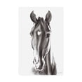 thumbnail image 1 of Trademark Fine Art 'Le Cheval Noir' Canvas Art by Aimee Del Valle, 1 of 4