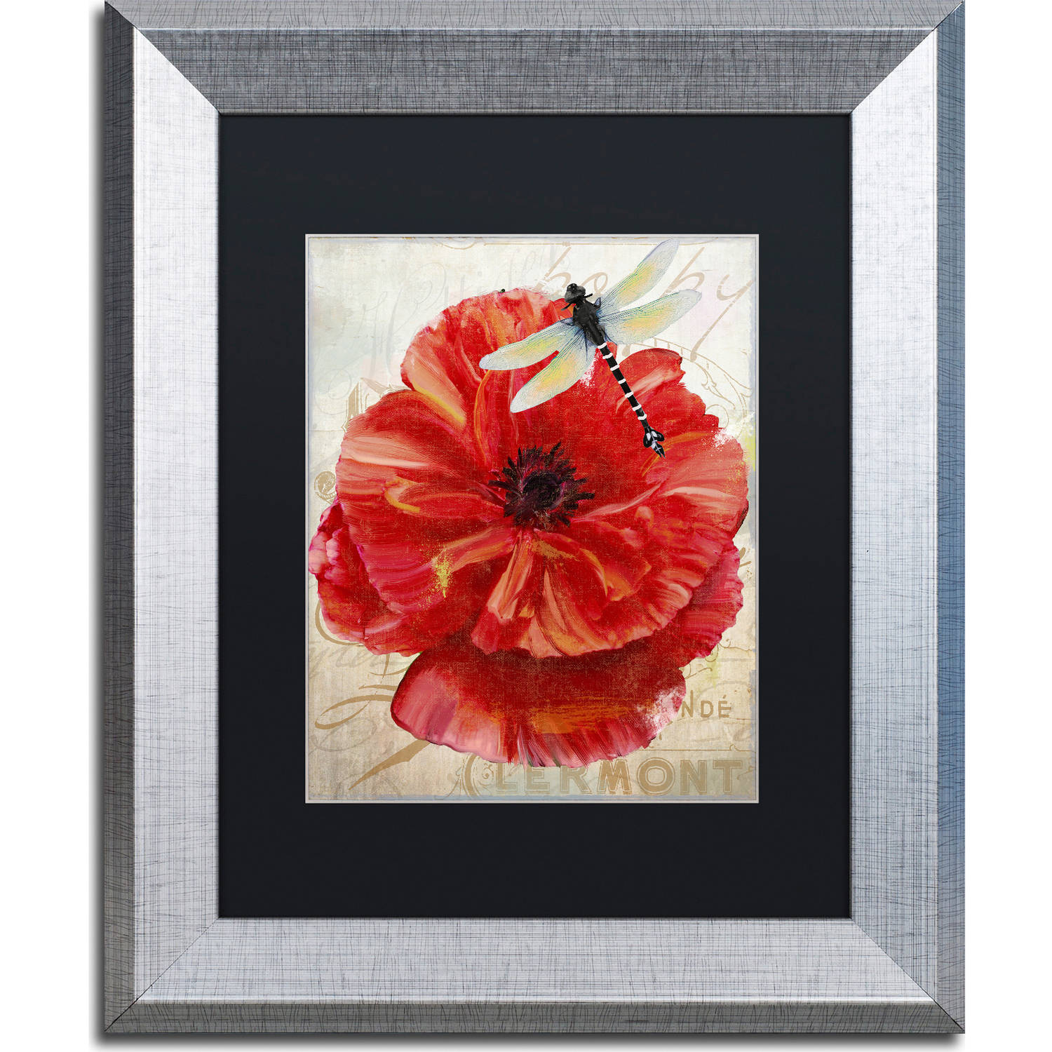 Trademark Fine Art "Le Pavot Dragonfly" Canvas Art by Color Bakery, Black Matte, Silver Frame