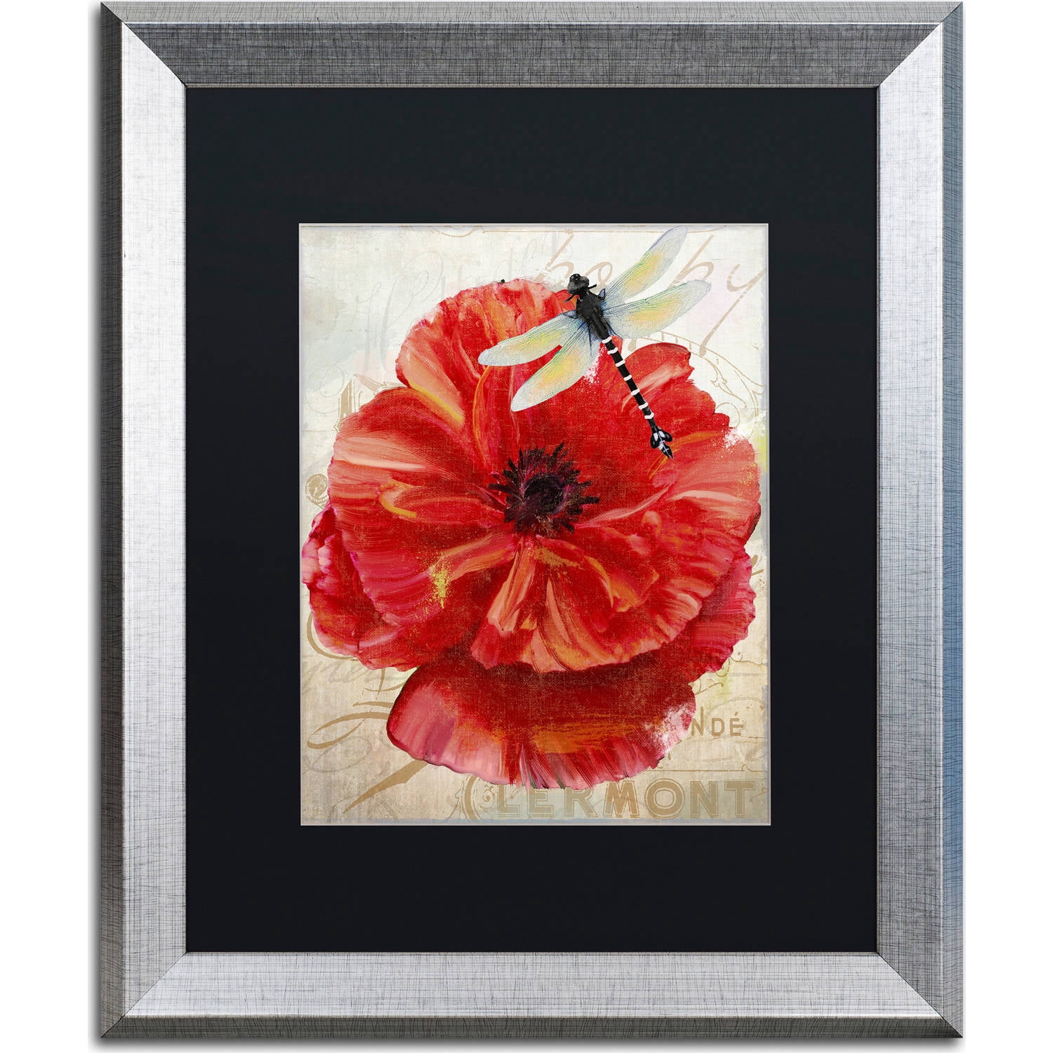 Trademark Fine Art "Le Pavot Dragonfly" Canvas Art by Color Bakery, Black Matte, Silver Frame