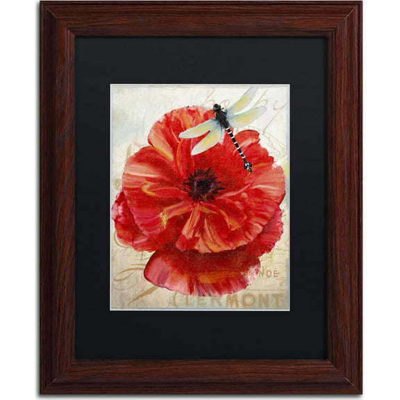 Trademark Fine Art "Le Pavot Dragonfly" Canvas Art by Color Bakery, Black Matte, Wood Frame