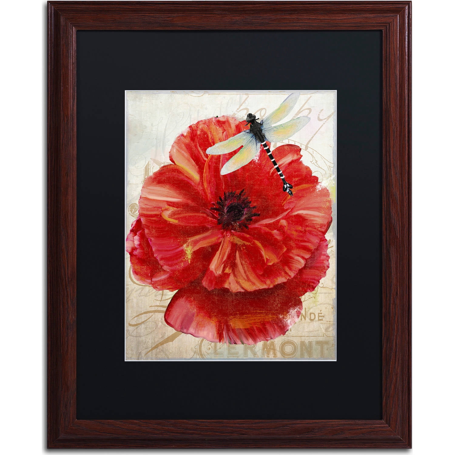Trademark Fine Art "Le Pavot Dragonfly" Canvas Art by Color Bakery, Black Matte, Wood Frame