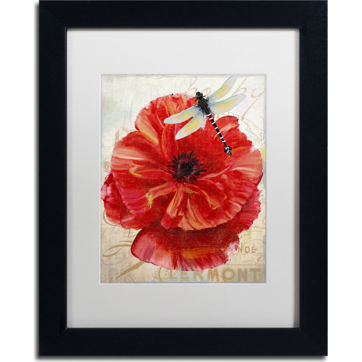 Trademark Fine Art "Le Pavot Dragonfly" Canvas Art by Color Bakery, White Matte, Black Frame