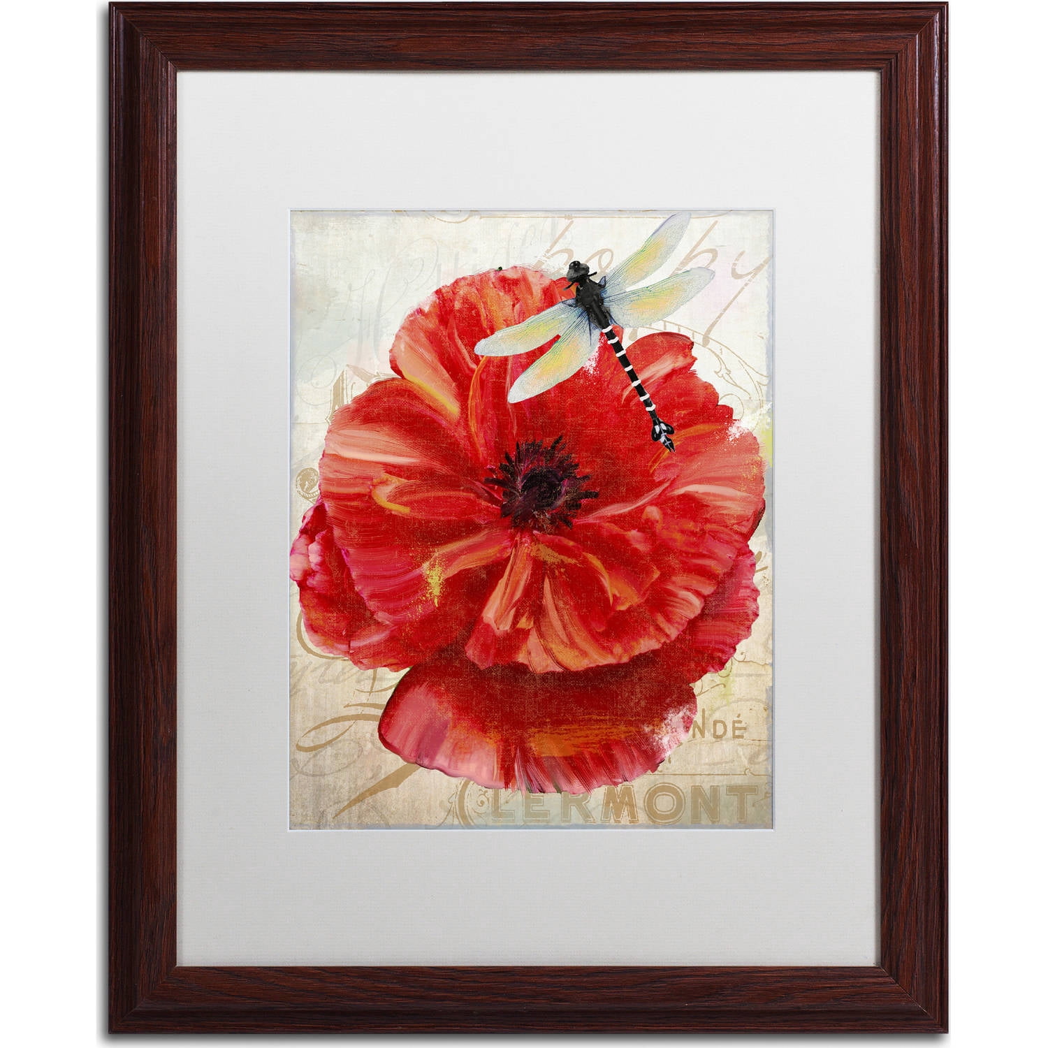 Trademark Fine Art "Le Pavot Dragonfly" Canvas Art by Color Bakery, White Matte, Wood Frame