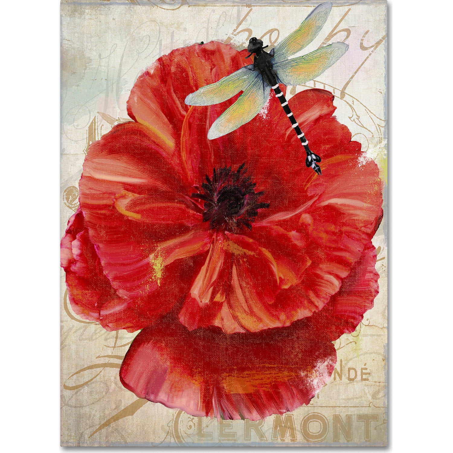 Trademark Fine Art "Le Pavot Dragonfly" Canvas Art by Color Bakery