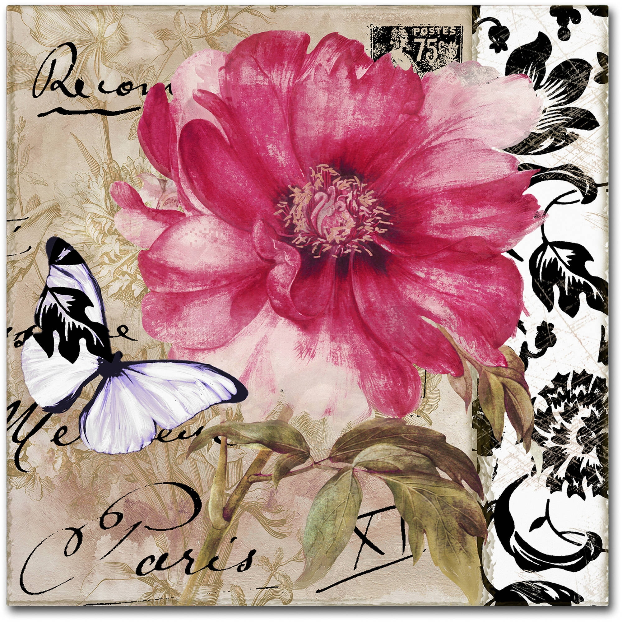 Le Pink Butterfly and Floral Canvas Art in Black, White, and Tan
