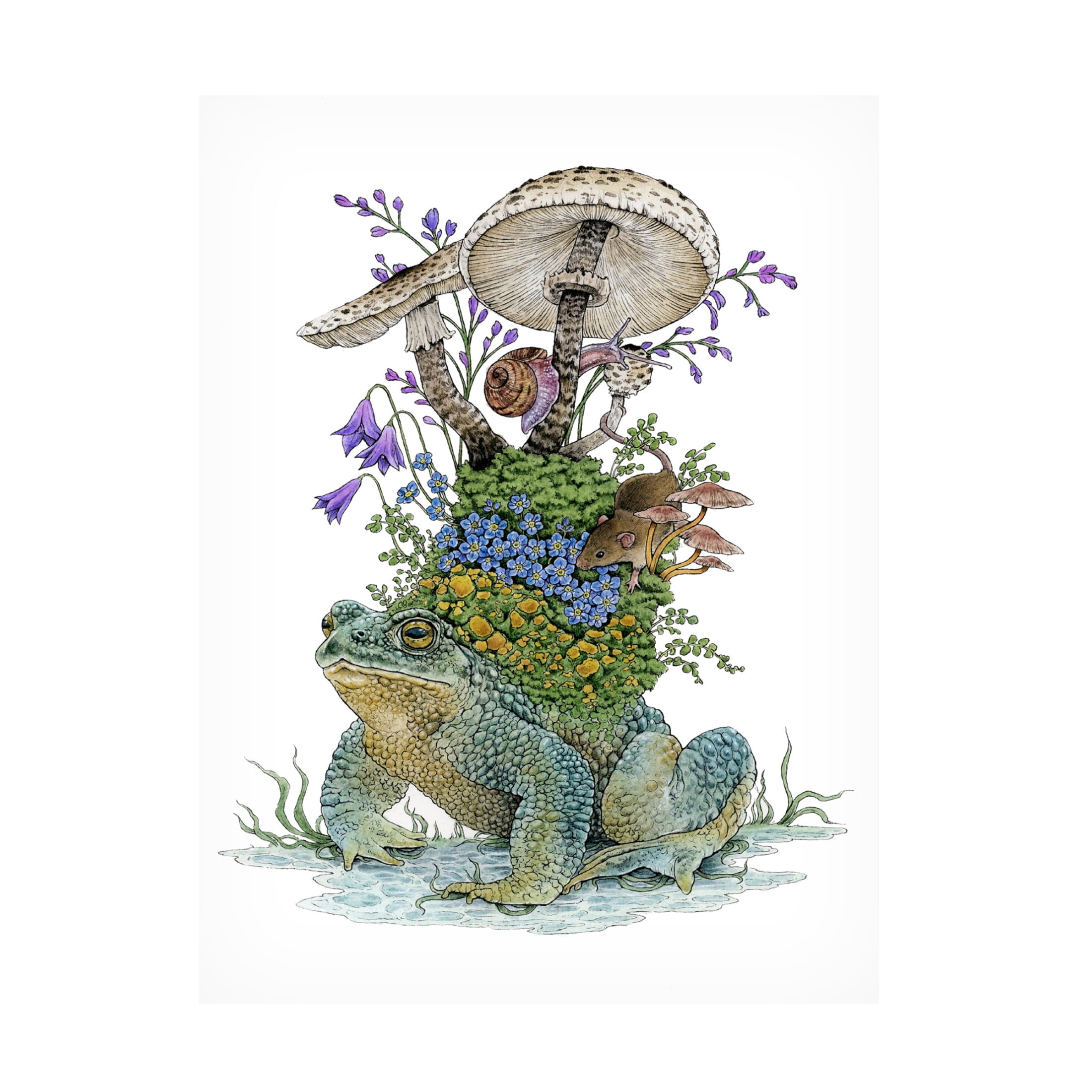 Trademark Fine Art Lea Chaillaud Away With the Fairies Canvas Wall Art