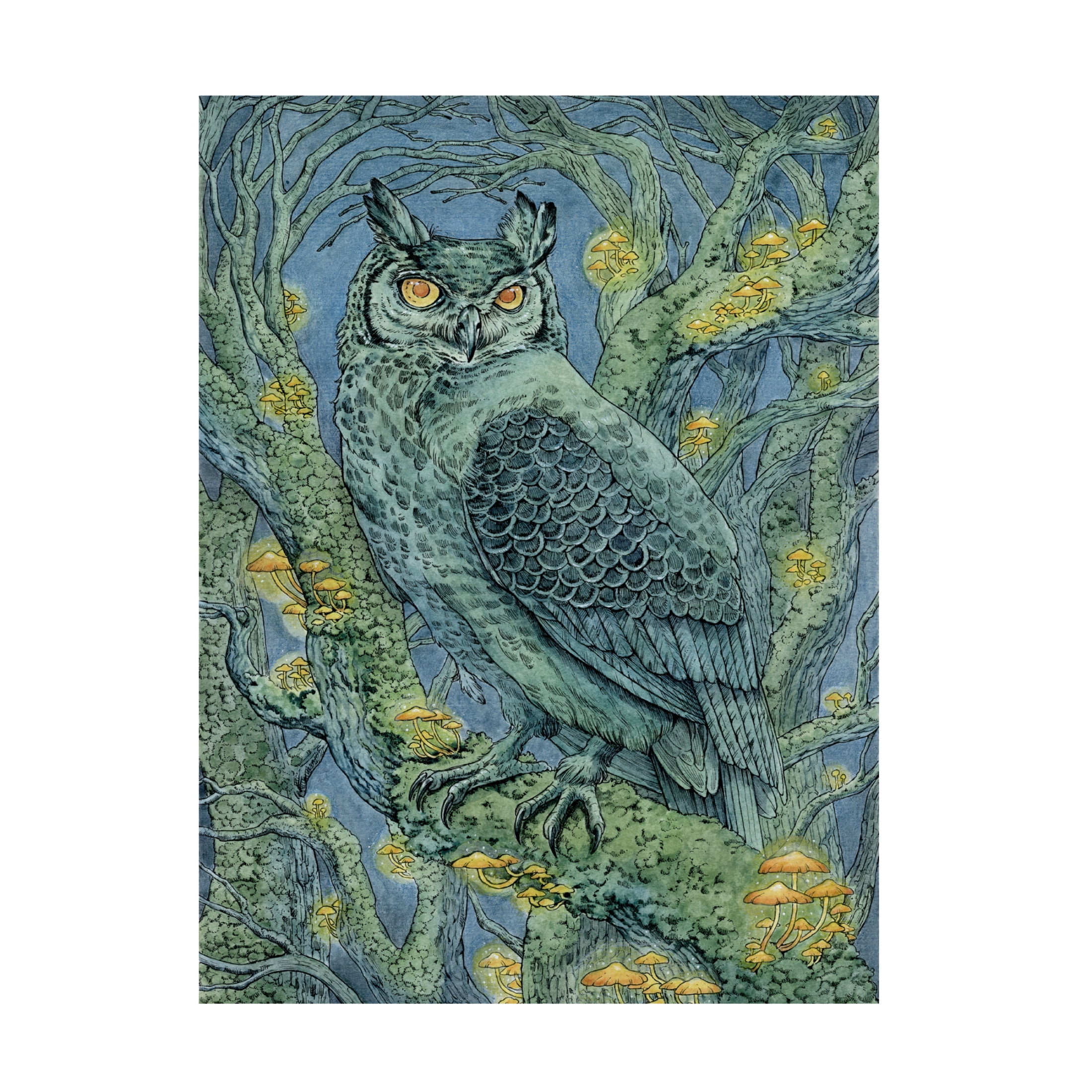 Trademark Fine Art Lea Chaillaud Forest Lights Canvas Wall Art
