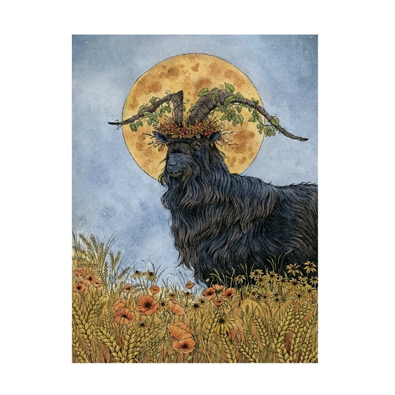 Trademark Fine Art Lea Chaillaud Where the Summer Dies Canvas Wall Art