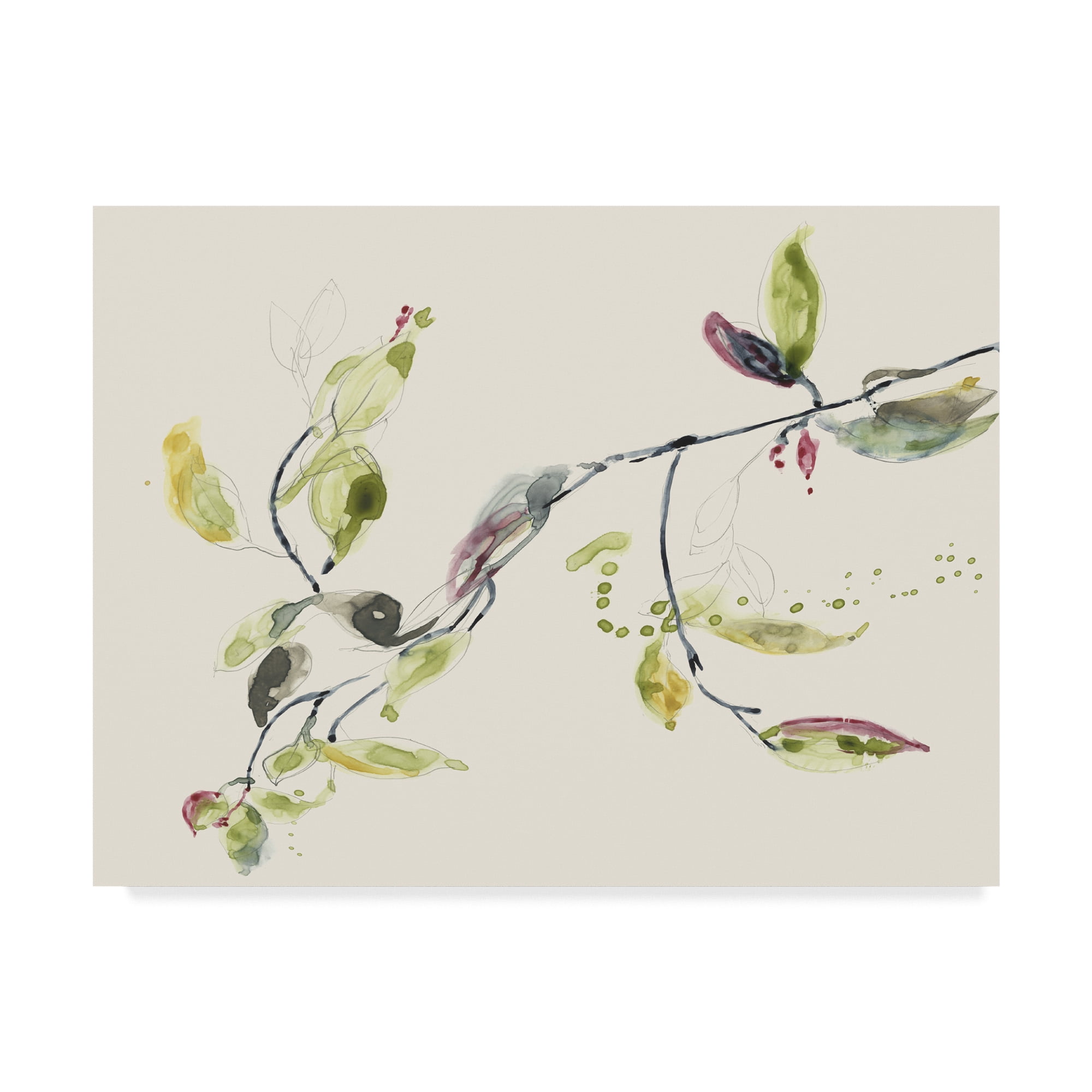 Trademark Fine Art 'Leaf Branch I' Canvas Art by Jennifer Goldberger