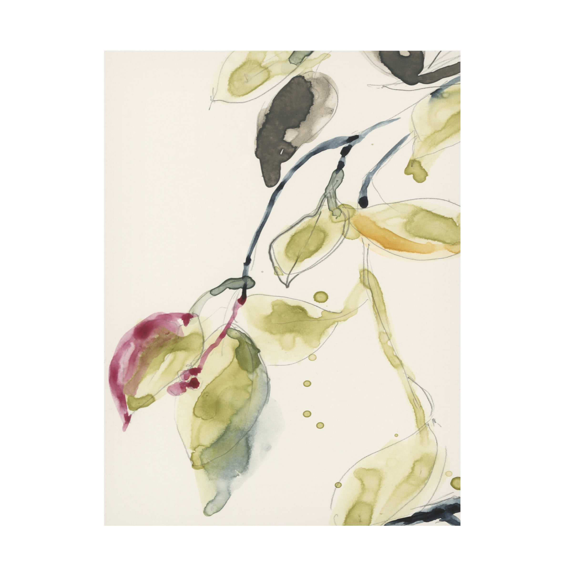 Trademark Fine Art Jennifer Goldberger Leaf Branch Triptych I Canvas Wall Art - 14x19