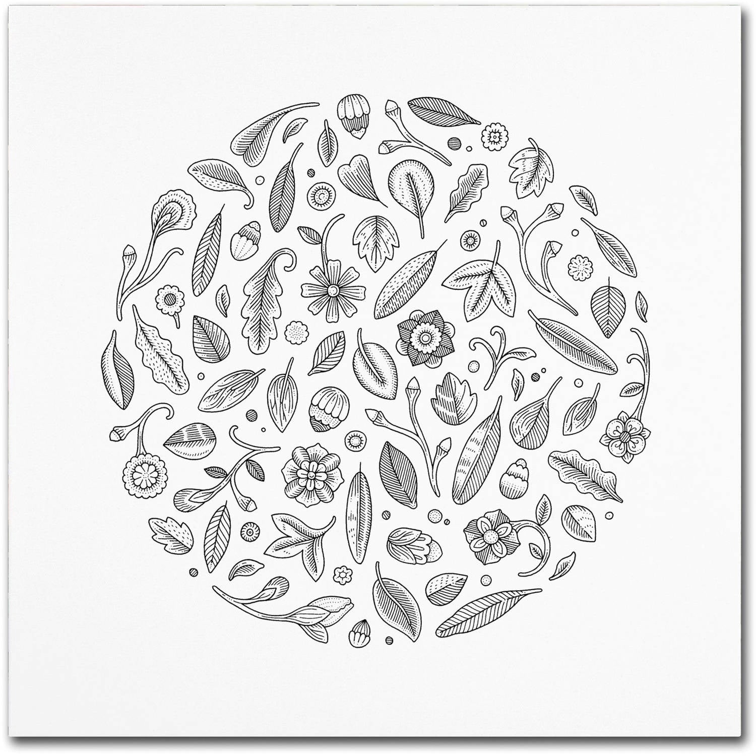 Trademark Fine Art "Leaf Circle" Canvas Art by Filippo Cardu