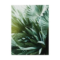 Trademark Fine Art 'Leaf II' Canvas Art by Incado