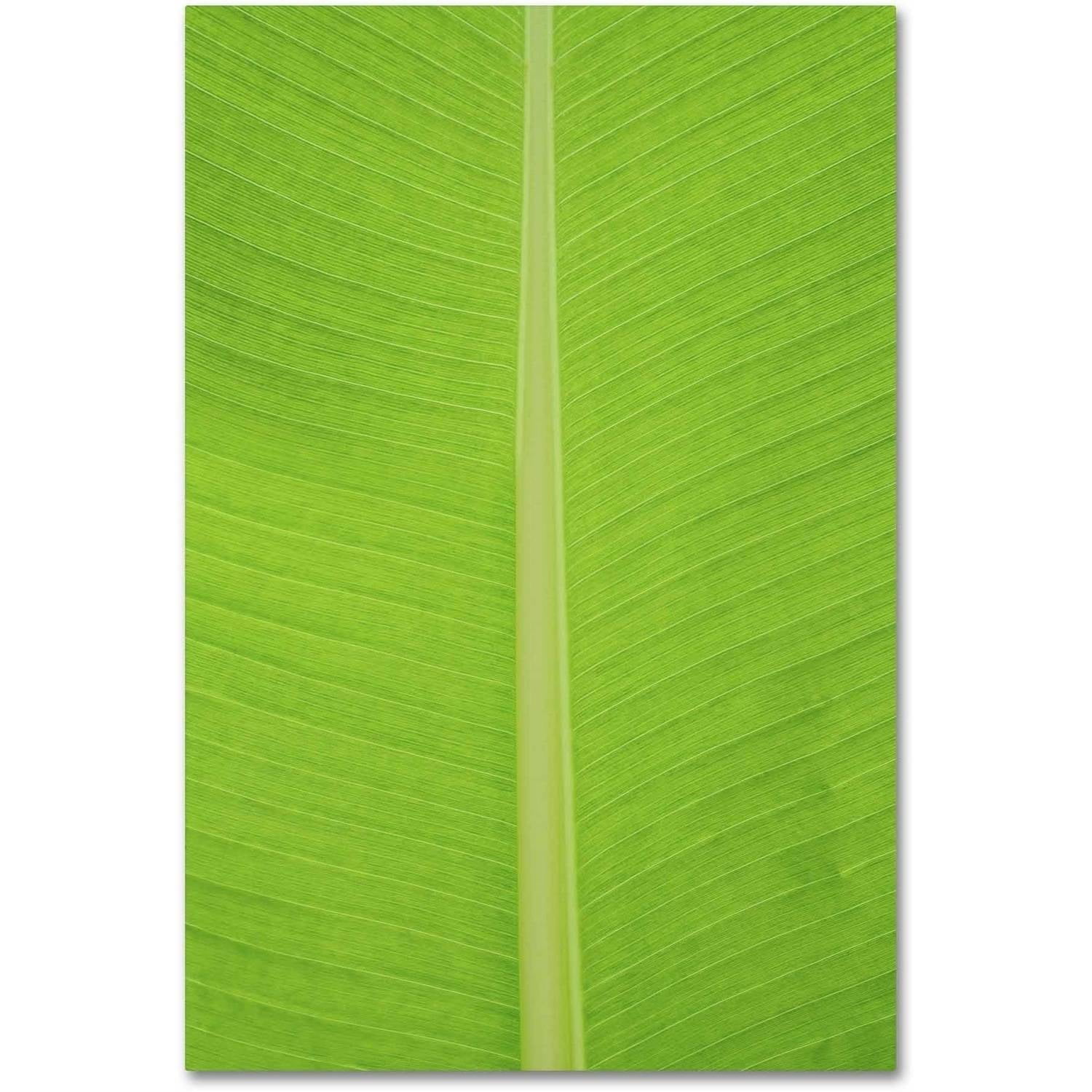 Green Leaf Abstract Canvas Art with Frame, 12x19 Inch