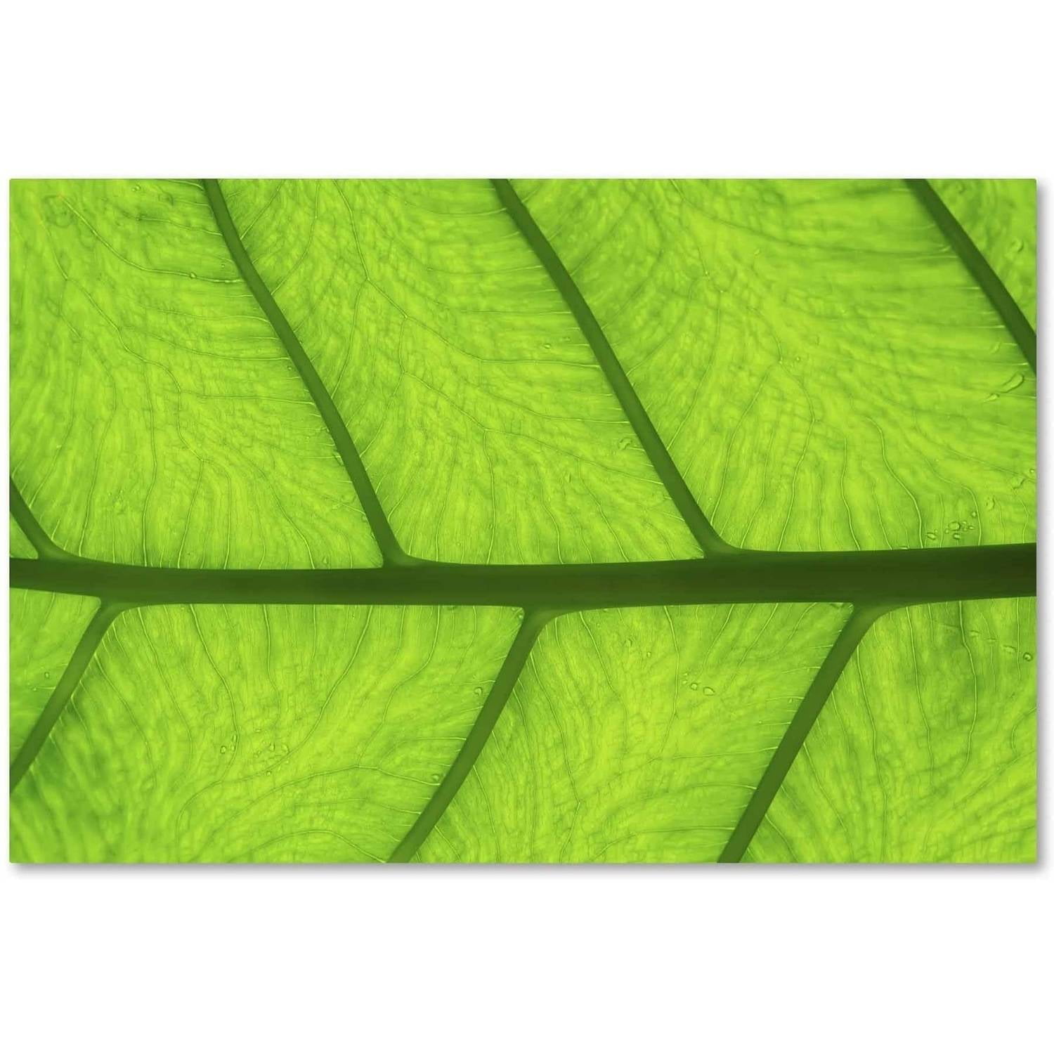 Green Leaf Texture Abstract Canvas Art, 12 x 19