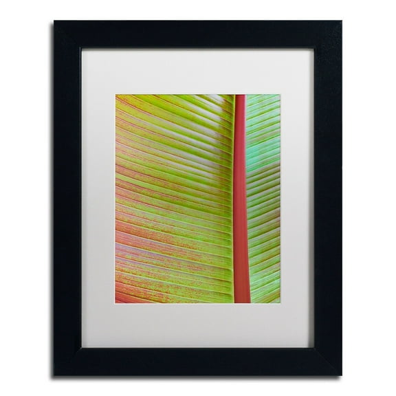 Trademark Fine Art 'Leaf Texture VI' Canvas Art by Cora Niele, White Matte, Black Frame