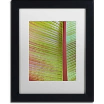 Trademark Fine Art 'Leaf Texture VI' Canvas Art by Cora Niele, White Matte, Black Frame