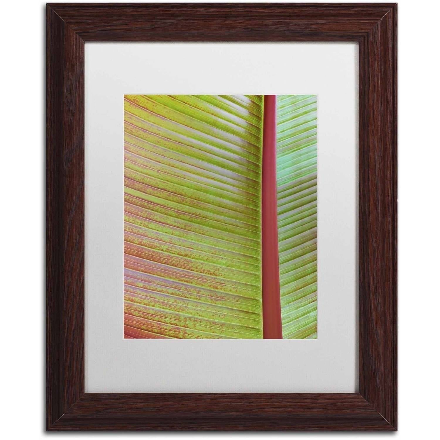 Trademark Fine Art 'Leaf Texture VI' Canvas Art by Cora Niele, White Matte, Wood Frame