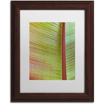 Trademark Fine Art 'Leaf Texture VI' Canvas Art by Cora Niele, White Matte, Wood Frame