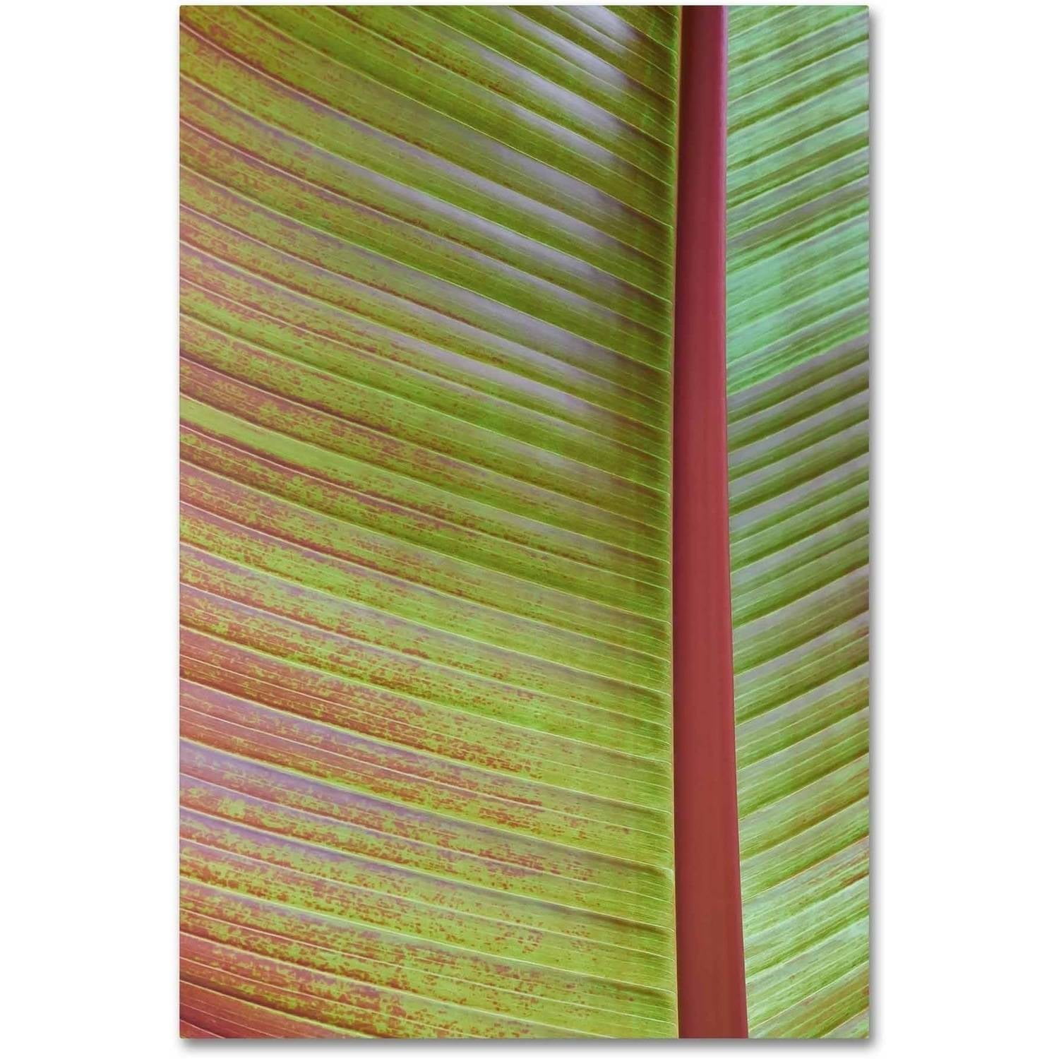 Abstract Green and Red Leaf Canvas Wall Art