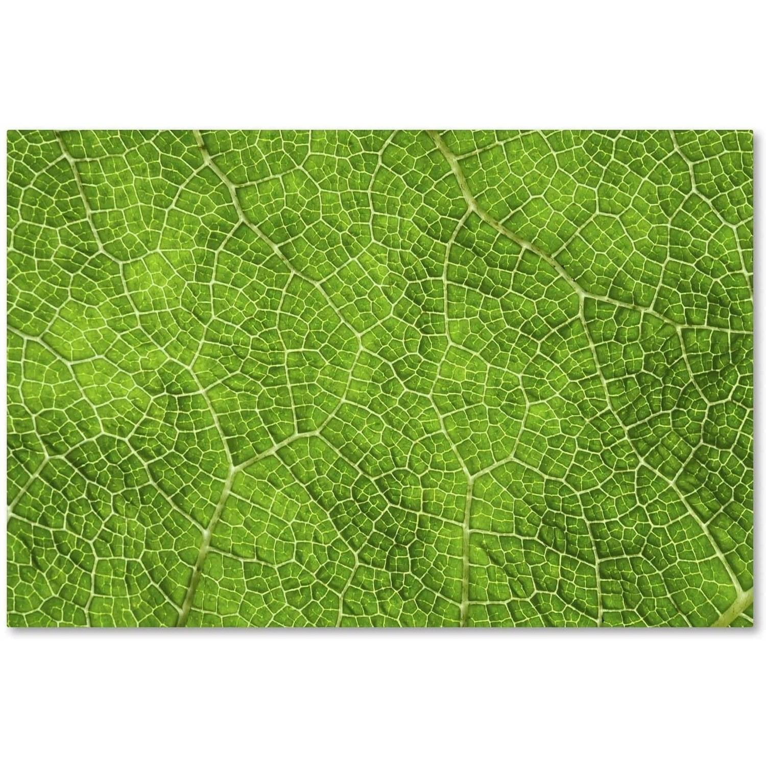 Green Leaf Texture Abstract Canvas Art with Frame