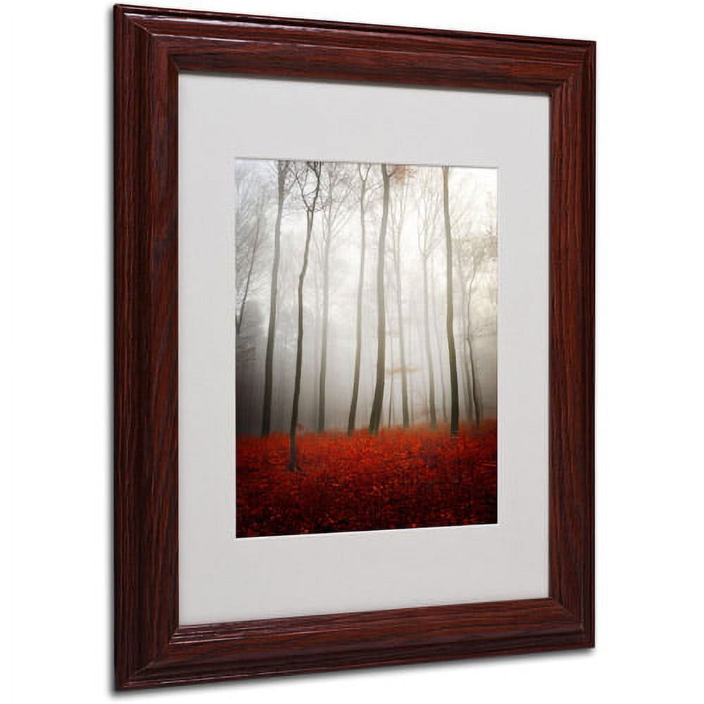 Trademark Fine Art "Leafless" Canvas Art by Philippe Sainte-Laudy, Wood Frame