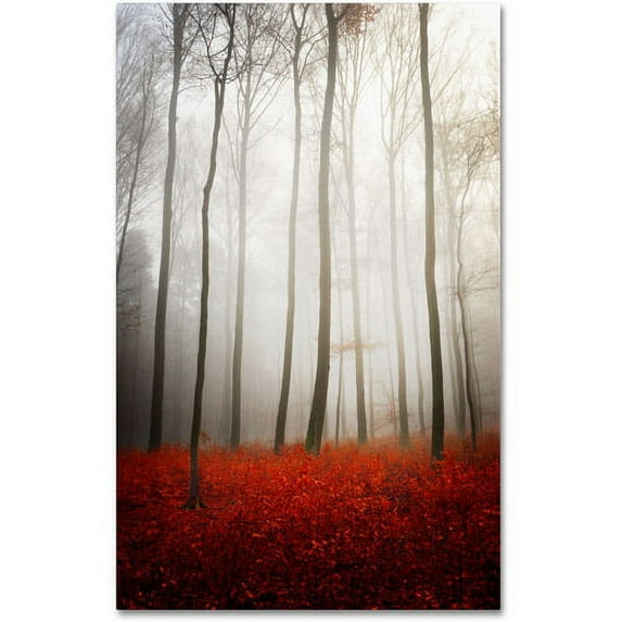 Trademark Fine Art "Leafless" Canvas Art by Philippe Sainte-Laudy