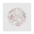 thumbnail image 1 of Trademark Fine Art 'Leafy Abstract Circle I Blush Gray' Canvas Art by Danhui Nai, 1 of 3