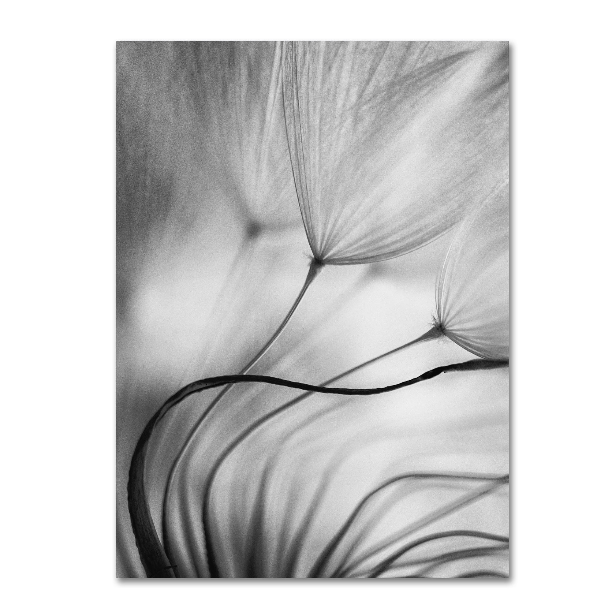 Trademark Fine Art 'Lean On Me' Canvas Art by Keren Or