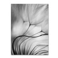 thumbnail image 1 of Trademark Fine Art 'Lean On Me' Canvas Art by Keren Or, 1 of 3