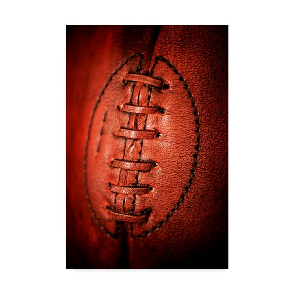 Trademark Fine Art 'Leather' Canvas Art by Philippe Sainte-Laudy