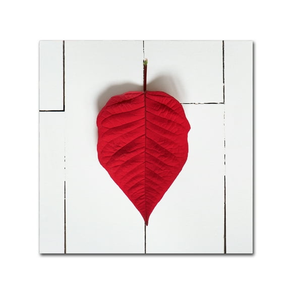 Trademark Fine Art 'Leave Me All Your Love' Canvas Art by Philippe Sainte-Laudy