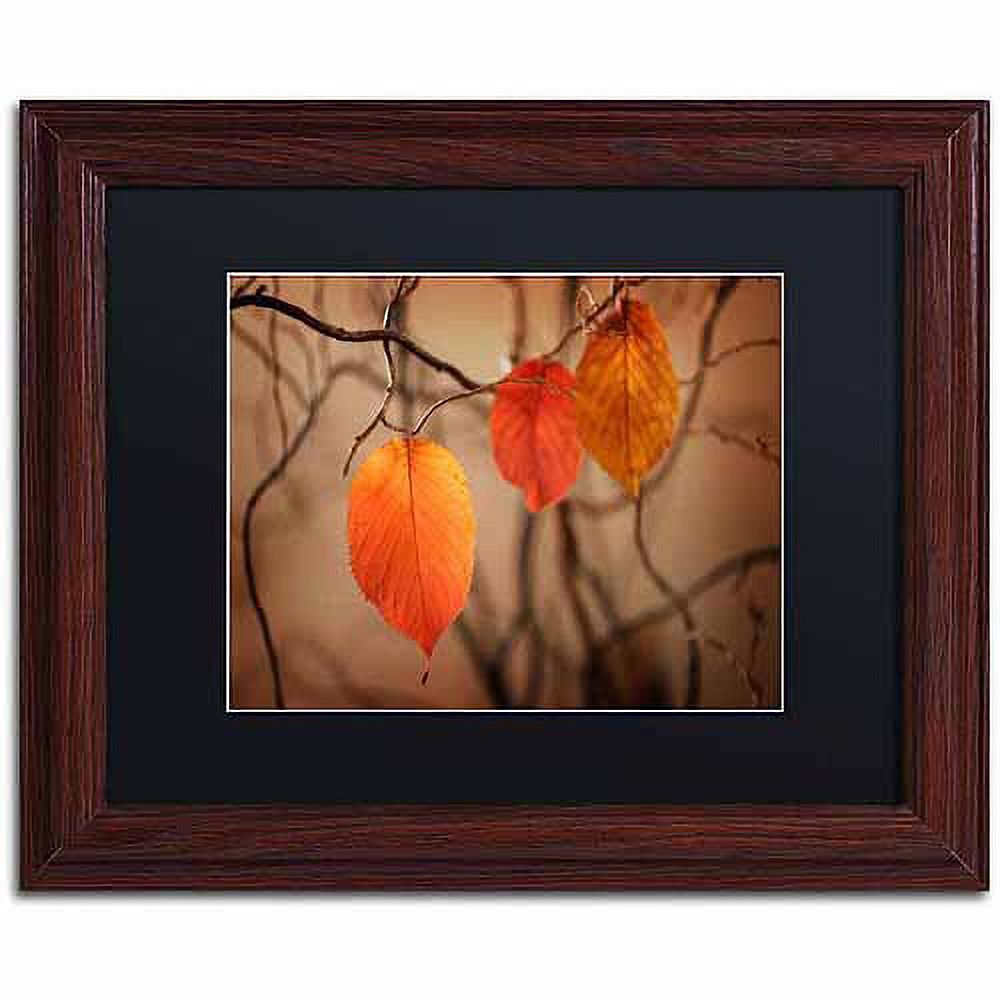 Trademark Fine Art "Leaves after Leaves" Canvas Art by Philippe Sainte-Laudy, Black Matte, Wood Frame