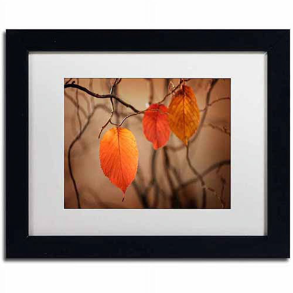 Trademark Fine Art "Leaves after Leaves" Canvas Art by Philippe Sainte-Laudy, White Matte, Black Frame