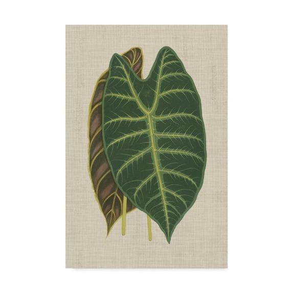 Trademark Fine Art 'Leaves on Linen III' Canvas Art by Unknown