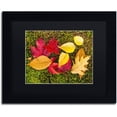 thumbnail image 1 of Trademark Fine Art "Leaves on Moss" Canvas Art by Michael Blanchette Photography Black Matte, Black Frame, 1 of 4