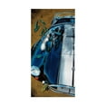 thumbnail image 1 of Trademark Fine Art 'Leaving' Canvas Art by Roderick Stevens, 1 of 3