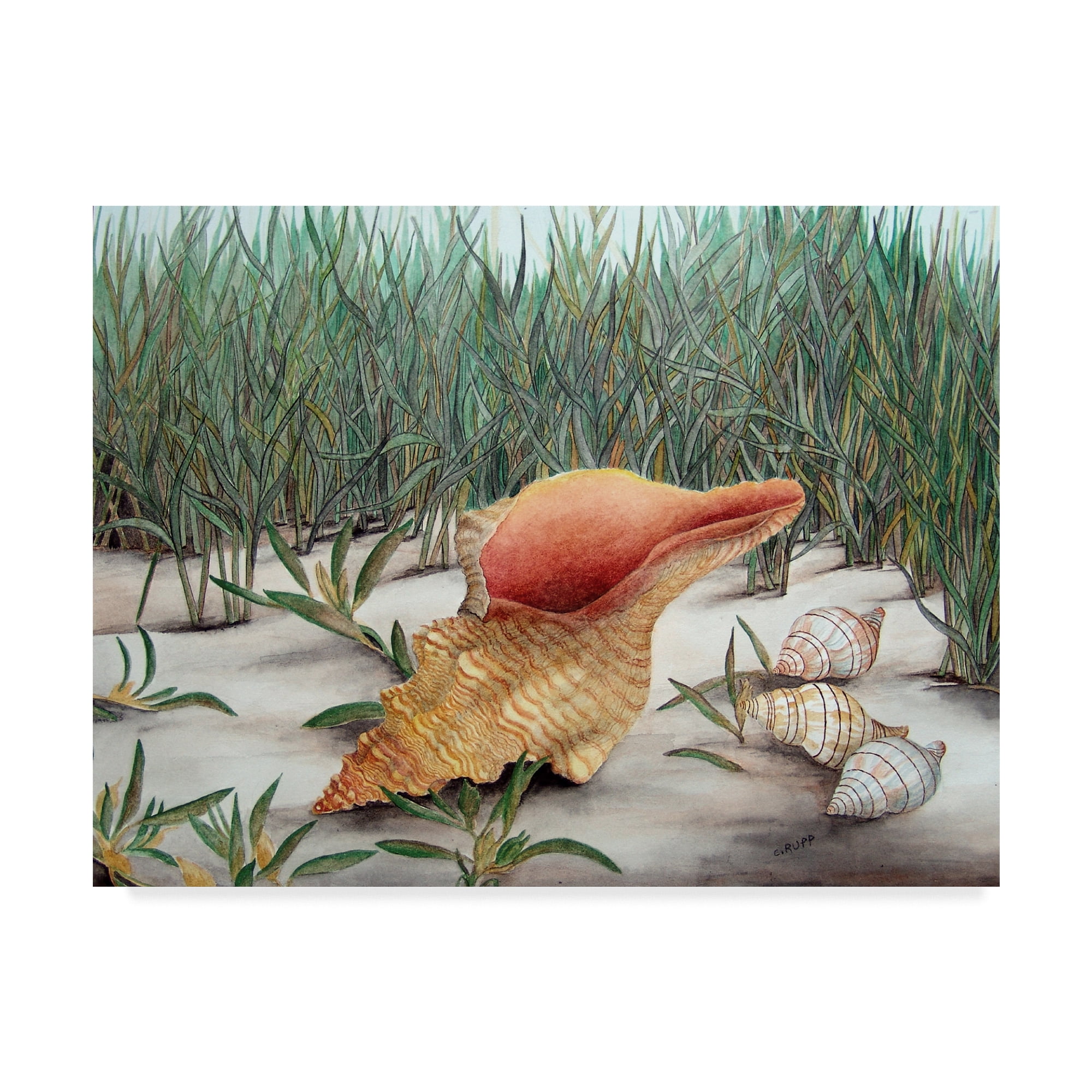 Trademark Fine Art 'Left By The Sea' Canvas Art by Carol J Rupp