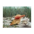 thumbnail image 1 of Trademark Fine Art 'Left By The Sea' Canvas Art by Carol J Rupp, 1 of 3
