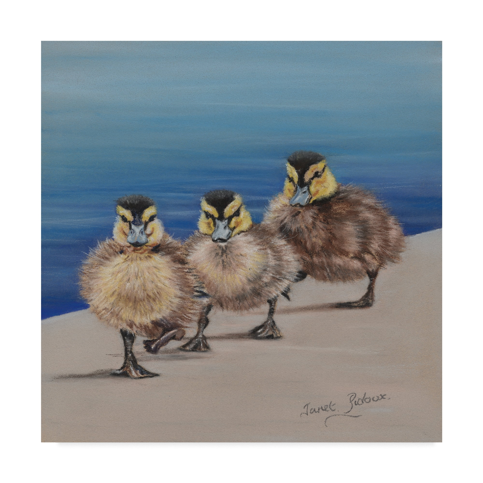 Trademark Fine Art 'Left Right, Left Right' Canvas Art by Janet Pidoux
