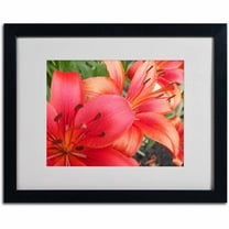 Trademark Fine Art "Lehua" Canvas Art by Monica Fleet, White Matte, Black Frame