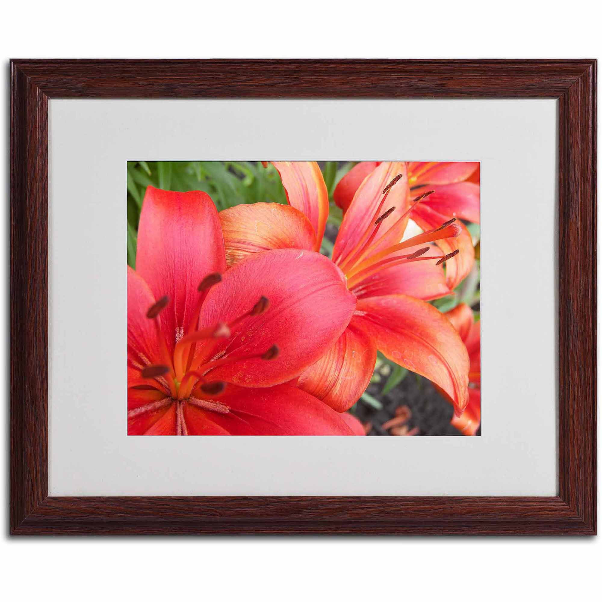 Trademark Fine Art "Lehua" Canvas Art by Monica Fleet, White Matte, Wood Frame