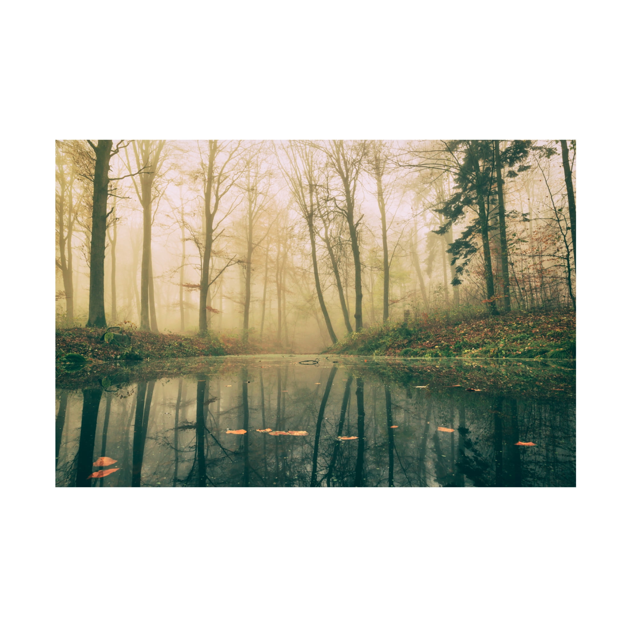 Trademark Fine Art Leif Londal Dark Water. Canvas Wall Art