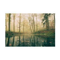 Trademark Fine Art Leif Londal Dark Water. Canvas Wall Art
